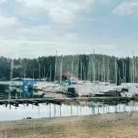 Oslo on a Budget: Fjords, Parks & Hidden Gems