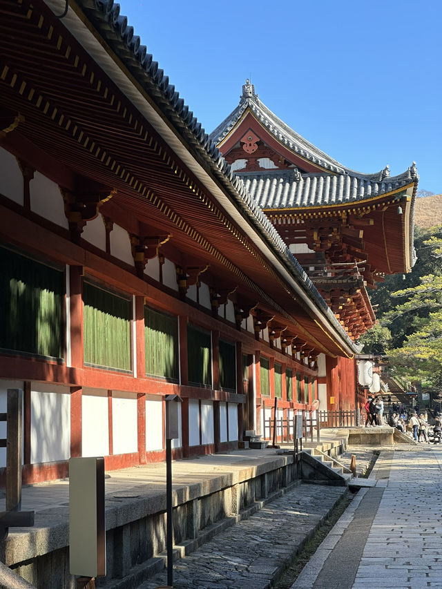 Nara’s ancient vibes meet jaw-dropping temples
