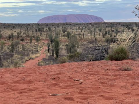 日出、日落和星星：體驗烏魯魯的魔力🇦🇺🦘