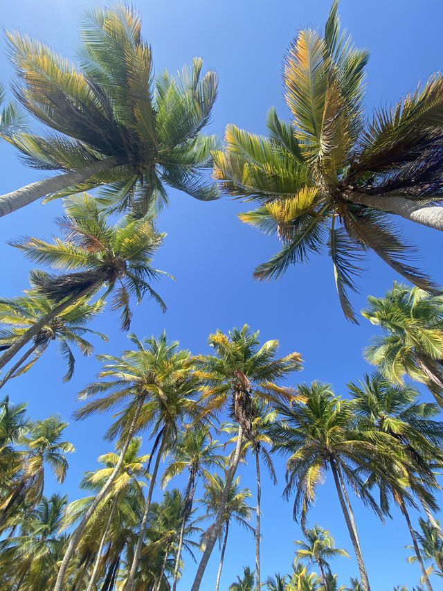 Morrocoy National Park has the best beaches of Venezuela!