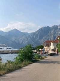Cruise the Bay of Kotor ⛵