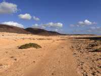 A Hidden Gem in the Canaries 🏝️