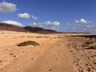 A Hidden Gem in the Canaries 🏝️