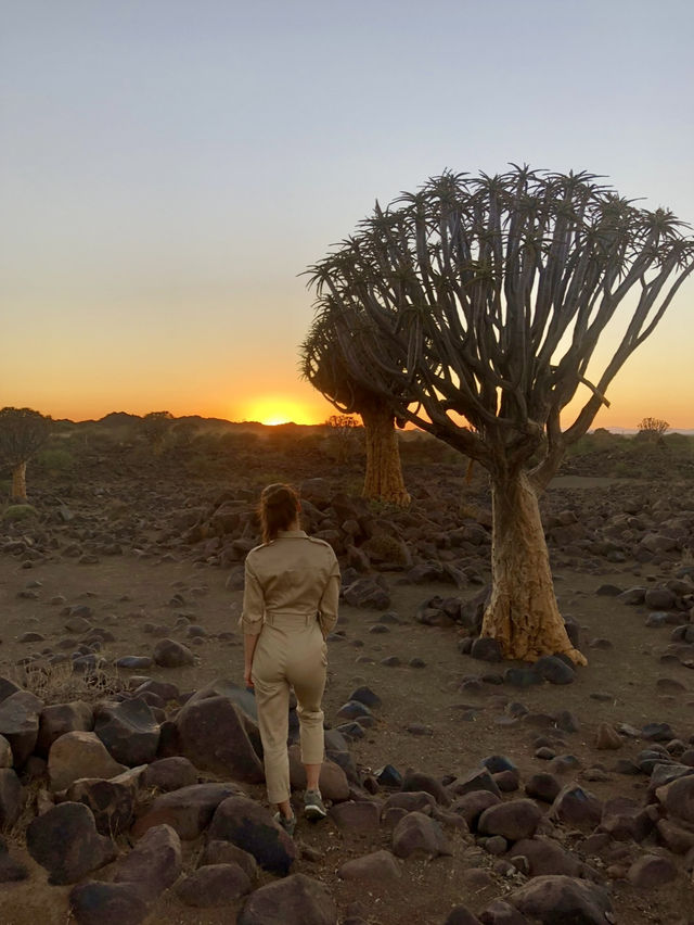 Намибия: дикая, красивая и удивительно доступная