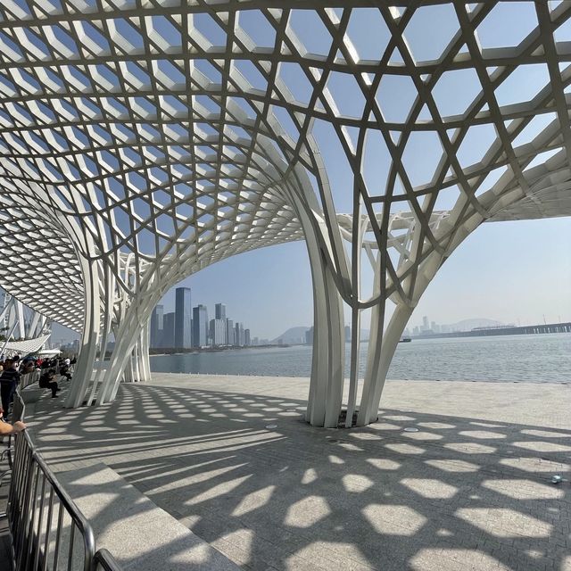 A big wheel in Shenzhen ! 