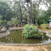 養生健身最佳氧吧~保山太保山森林公園