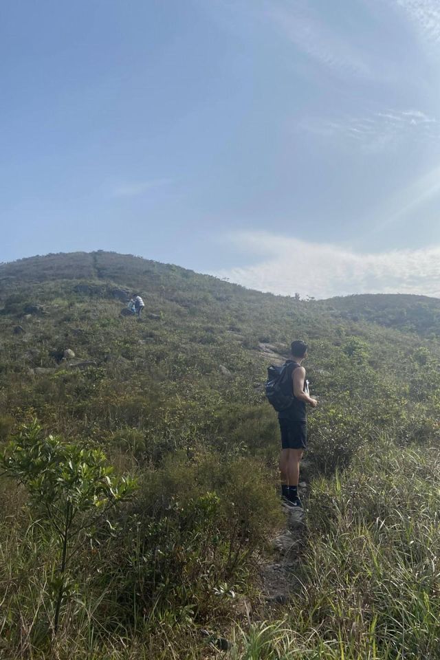 八仙嶺x黃嶺x屏風山．樓梯大挑戰