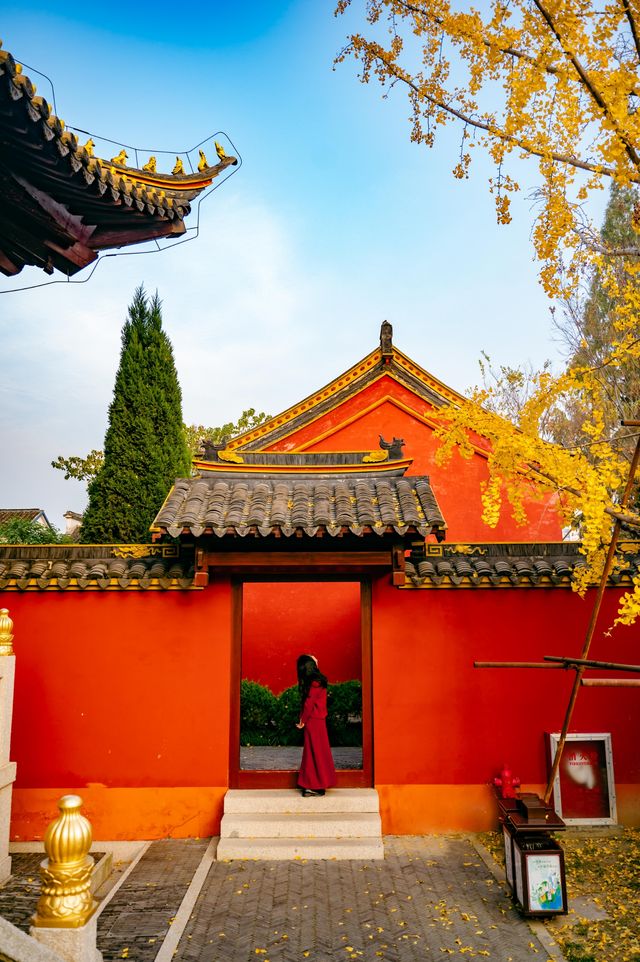 藏在蘇州周邊的百年銀杏地常熟小故宮