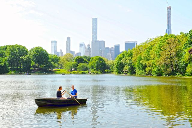 紐約中央公園：繁華城市之息與野生動物的樂園