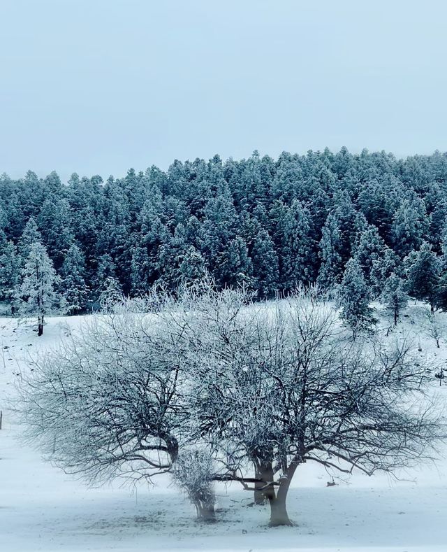 重慶周邊帶娃看雪|滑雪十親子互動營地