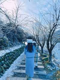 雙牌陽明山：自然風光的享受之旅