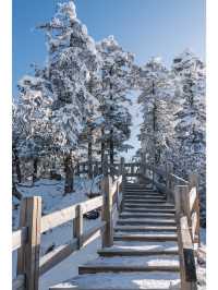 成都西岭雪山｜｜這樣的西岭雪山誰會不愛｜