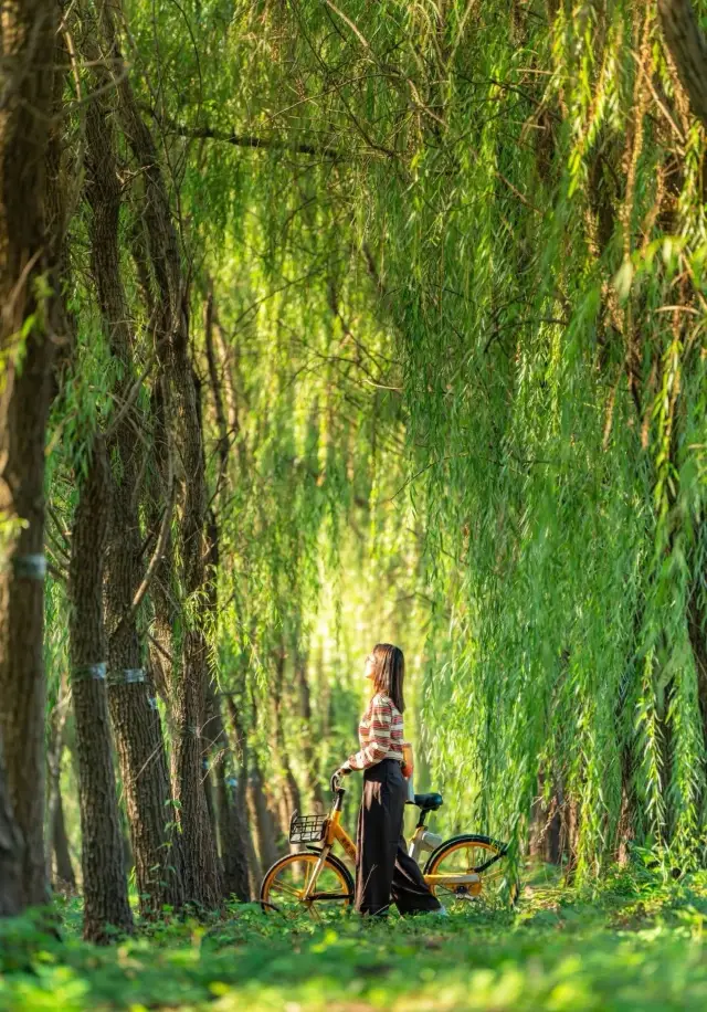 A sight for sore eyes: 'Sea' bike lane