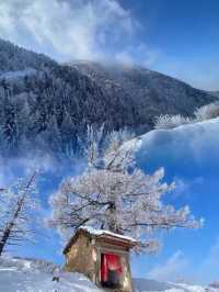 走進北方的香格里拉 | 山西的雪鄉蘆芽山