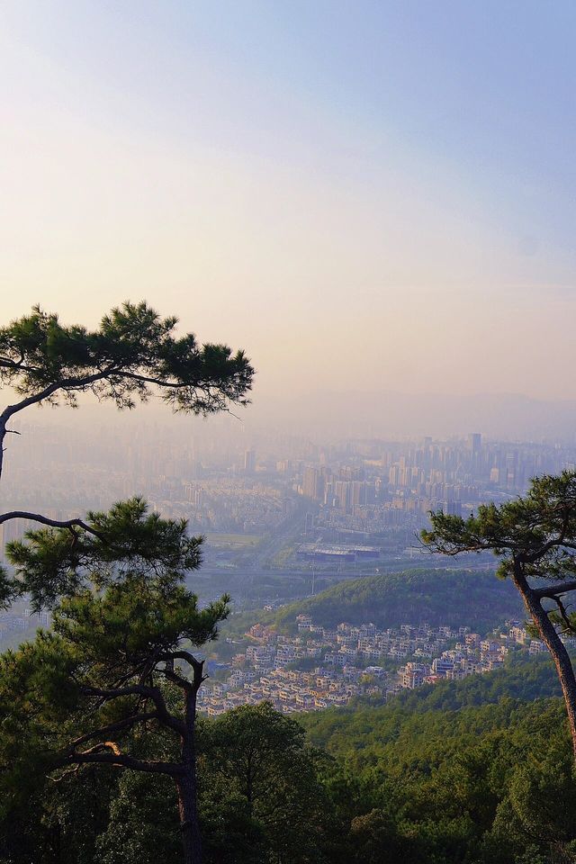 俯瞰福州全景｜鼓山登高台，最佳拍照地點