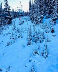 惠斯勒滑雪：人生必去的滑雪勝地雪域天堂Whistler