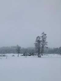 奧地利基茨比厄爾滑雪場：冬日樂園！