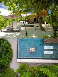 馬爾代夫嘅哈達哈島（Hadahaa）係一個真正嘅浮潛天堂。