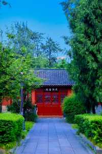 四川成都｜南郊公園｜逛城市中的桃花源