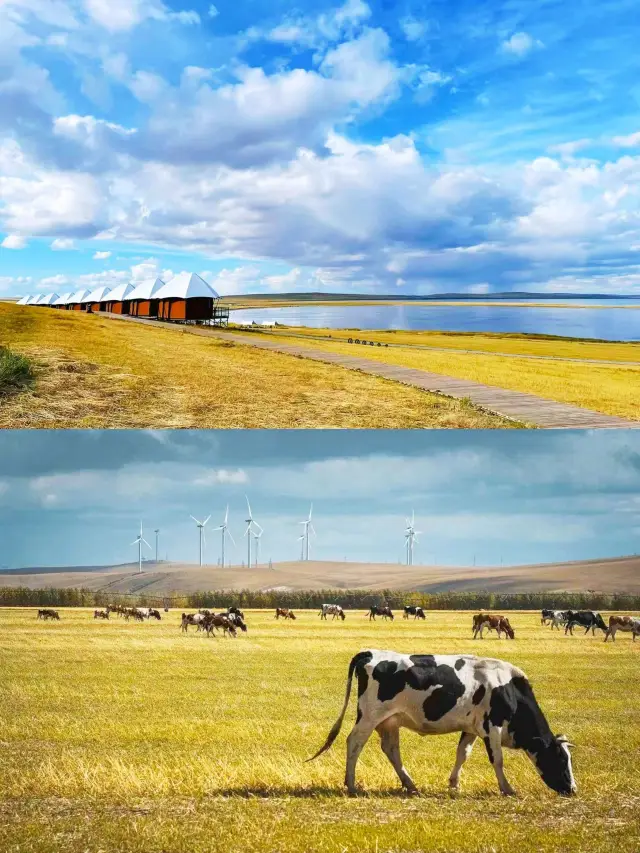 Autumn Journey| There is a kind of stunning that is the autumn color of Hulunbuir Hulunbuir Travel Guide
