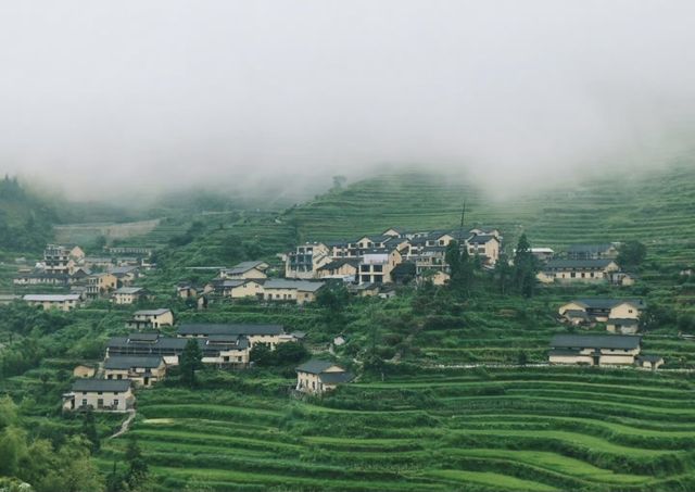 麗水·雲和梯田｜中國最美梯田