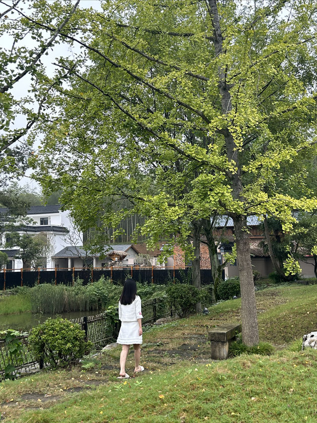 武漢周邊2h｜避世“江南”禪意園林民宿國慶湖北小眾遊