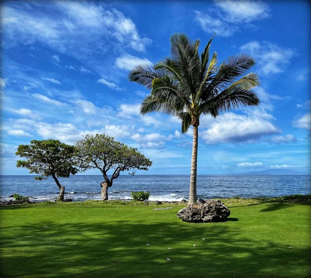 茂宜島，夏威夷最不推薦去的島