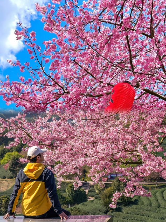 能成為《中國國家地理》《世界地理雜誌》封面的這裡將美成一幅畫