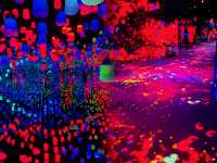 EPSON teamLab 無界美術館：探索無邊界的藝術世界