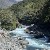 A Taste of the Enchanting Fiordland!