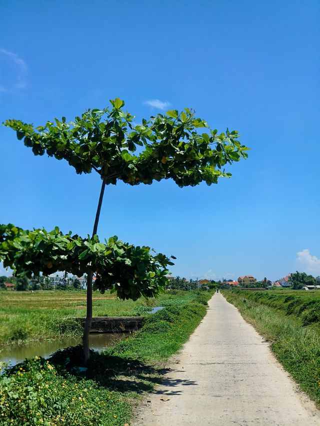 不止於古城，這樣的會安你見過沒？