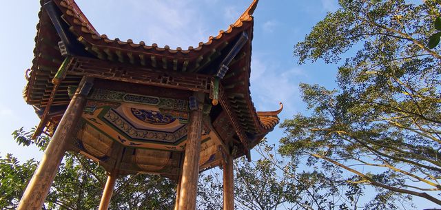廣西欽州小眾景點仙島公園，全國最大孫中山銅像，千畝紅樹林
