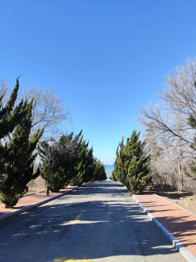 เที่ยวเกาะเลี้ยงม้าในวันหนาว