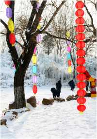 《雪後出遊竹泉村》