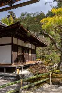京都旅行必打卡！銀閣寺，禪意與美學的完美交融