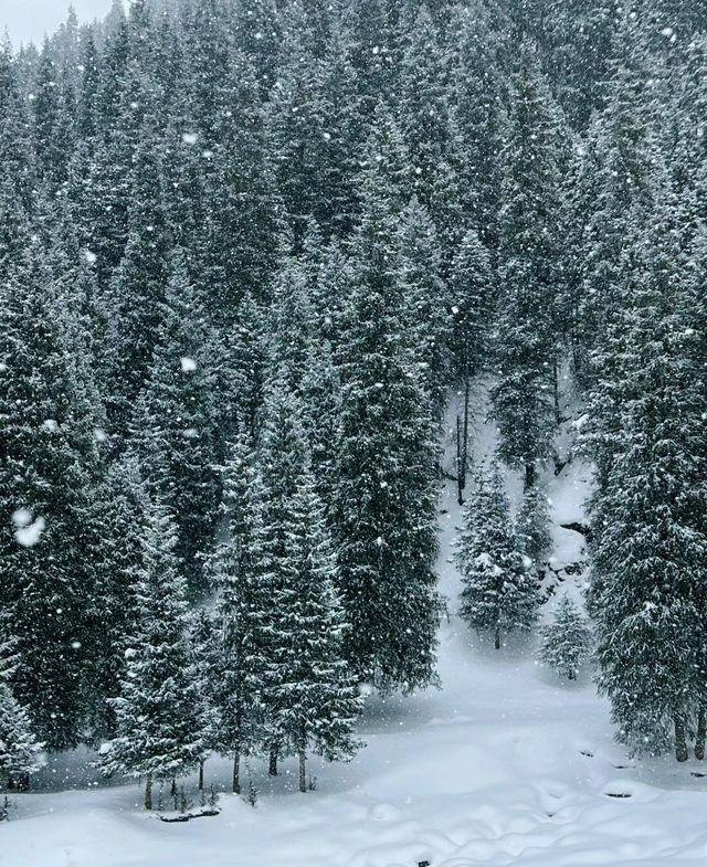 不要再去新疆的禾木了，大家都來烏魯木齊的沙溝騎馬吧