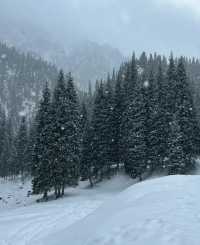 不要再去新疆的禾木了，大家都來烏魯木齊的沙溝騎馬吧