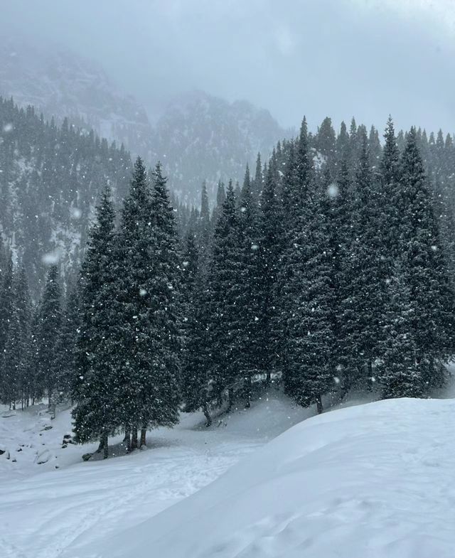 不要再去新疆的禾木了，大家都來烏魯木齊的沙溝騎馬吧