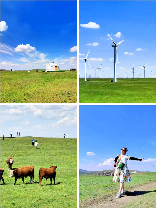 黃花溝的美景避坑五條·美景都在景區外面