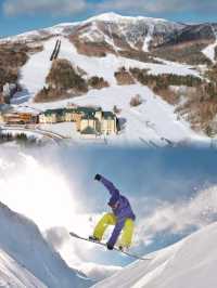 日本|冬日+溫泉+滑雪=神仙假日
