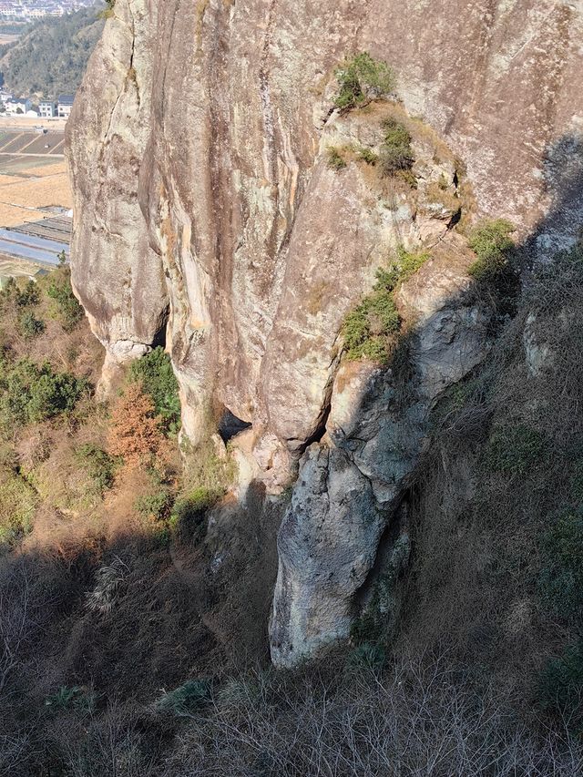 天台十里鐵甲龍