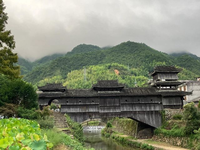 景美人少的地方嗎？——慶元月山村