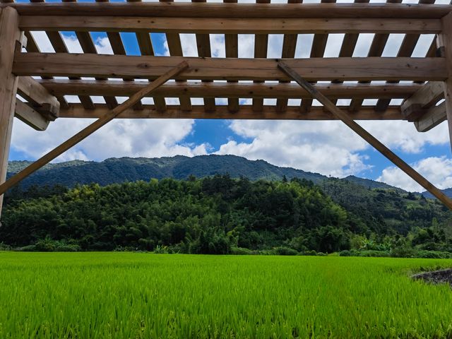 綠樹村邊合，青山郭外斜