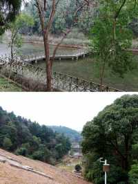 親近自然於德陽最大的郊野公園東湖山公園