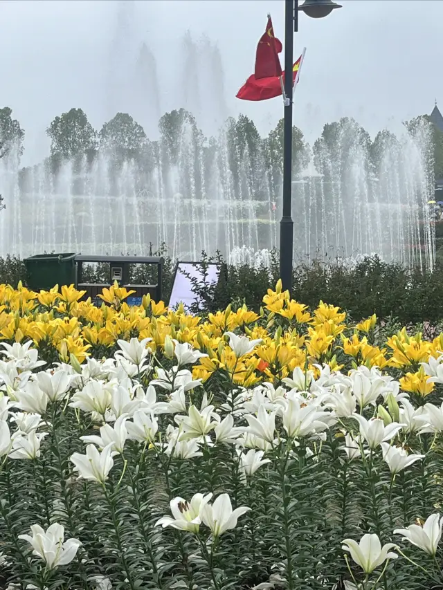 Wuhan Travel Guide | Floraland · A Fairy Tale Dream in a Purple Sea of Flowers