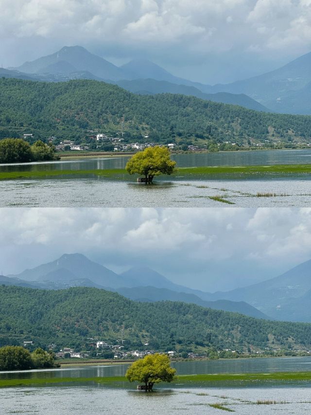 拉市海，能勸一個是一個！！！