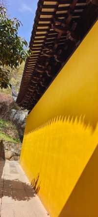 興福禪寺
