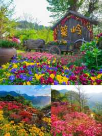 三月賞花去篁嶺，萬畝油菜花花海美到窒息