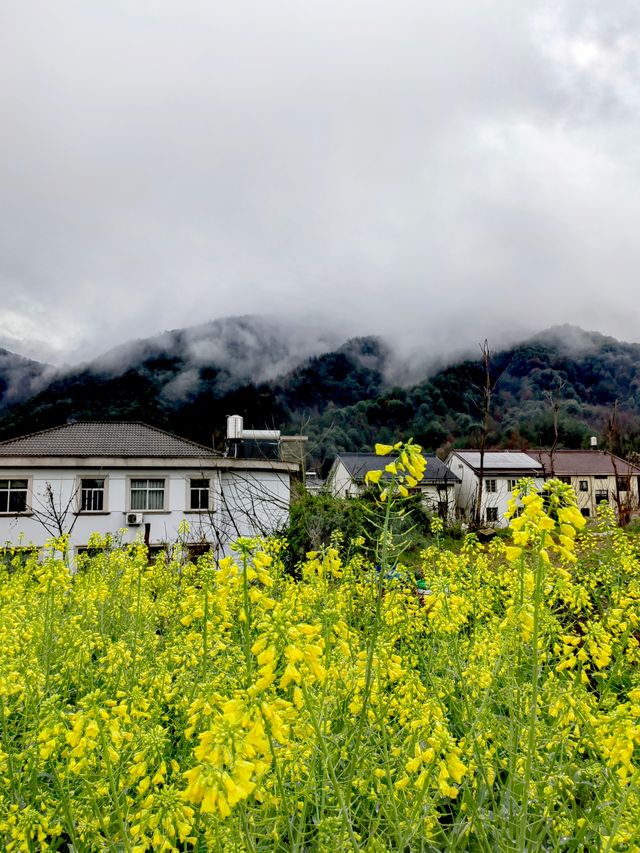 雲遮霧罩西峽峰，蒼翠欲滴水隆隆