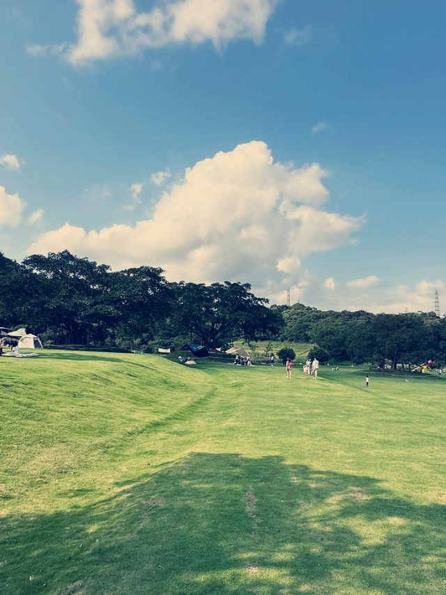 沒錯，這裡是深圳!這片山野間的綠草地太治癒了!
